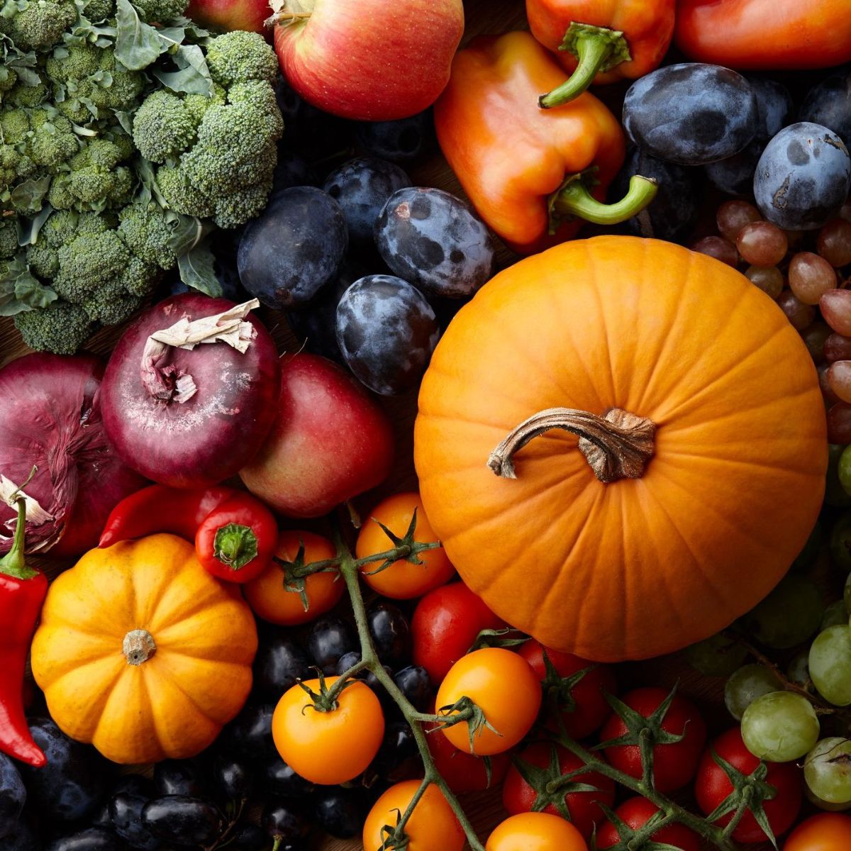 Rainbow of vegetables