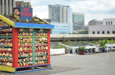 bee hive and garden on roof top of Olympic Hotel 
