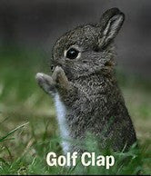 image of baby bunny rabbit with the words "golf clap" below.